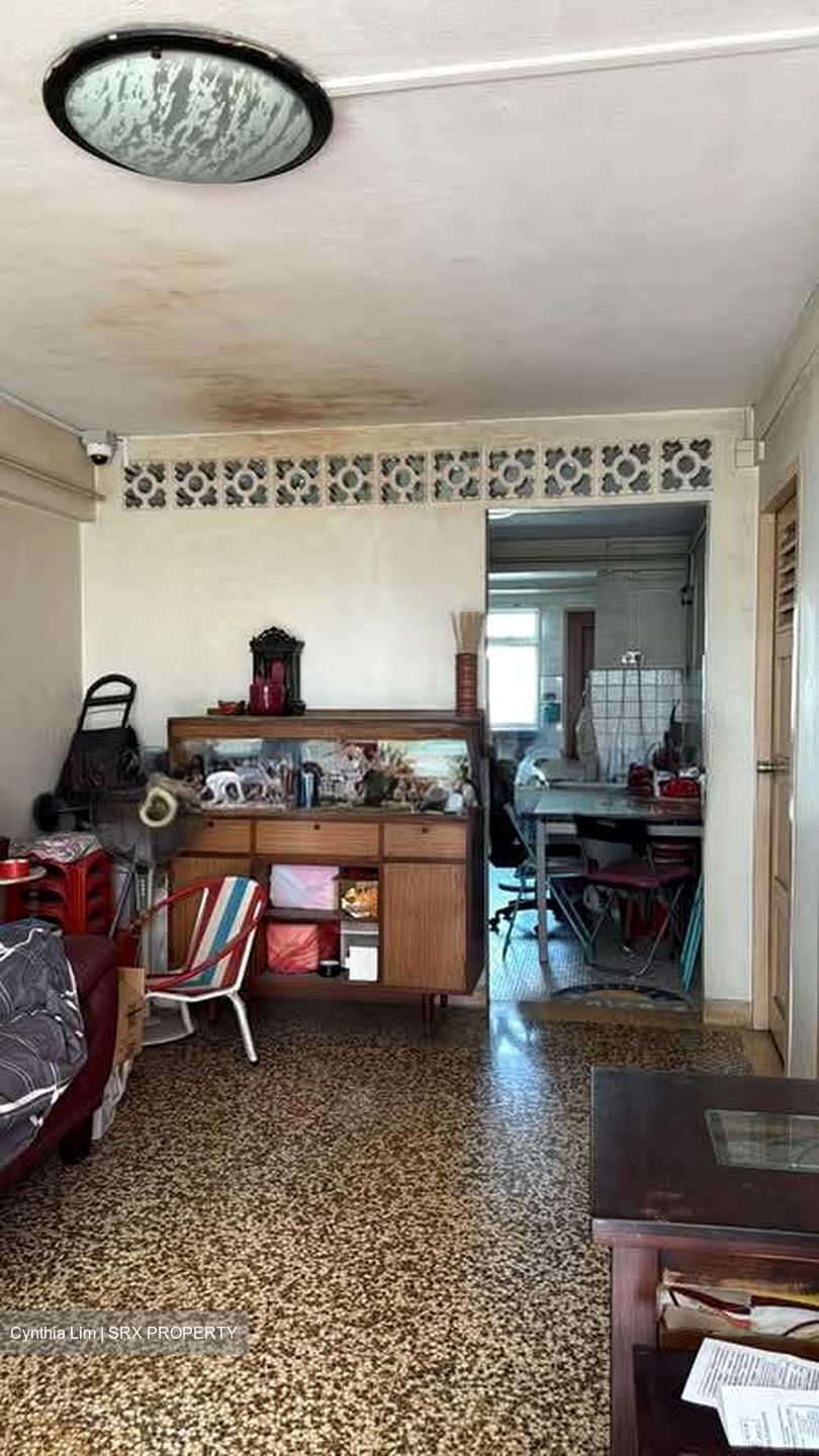 Whampoa West (Kallang/Whampoa), HDB 2 Rooms #578140741
